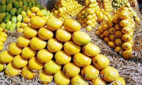 Pakistani Mangoes